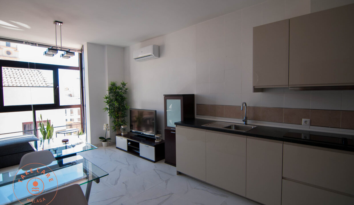 Apartment Malaga Centre - El Fike Real Estate38