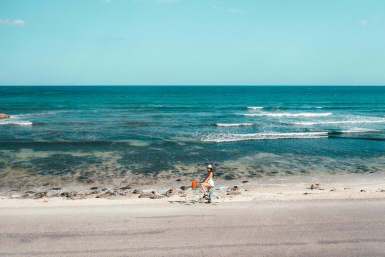 Malaga Marbella Bike tour Bike rental pexels-mikhail-nilov-6942813